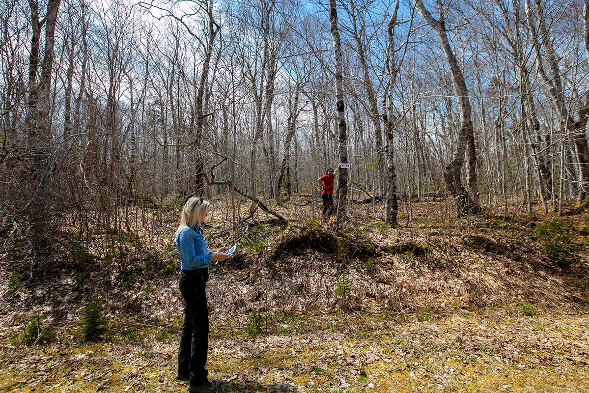 Grundstücke in Kanada -www.immobilien-goldenlake.com