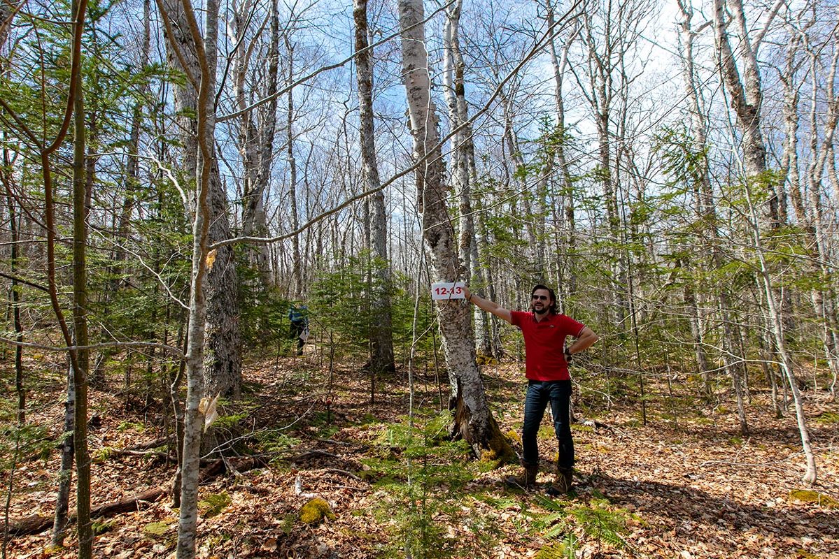 Grundstücke in Kanada -www.immobilien-goldenlake.com