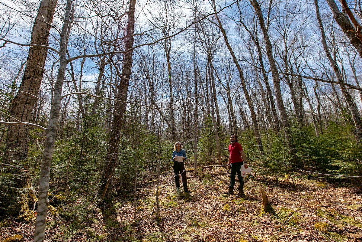 Grundstücke in Kanada -www.immobilien-goldenlake.com