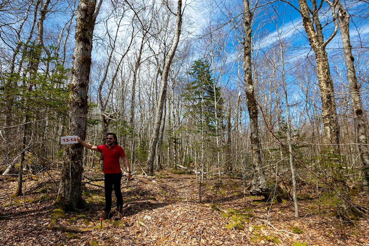 Grundstücke in Kanada -www.immobilien-goldenlake.com