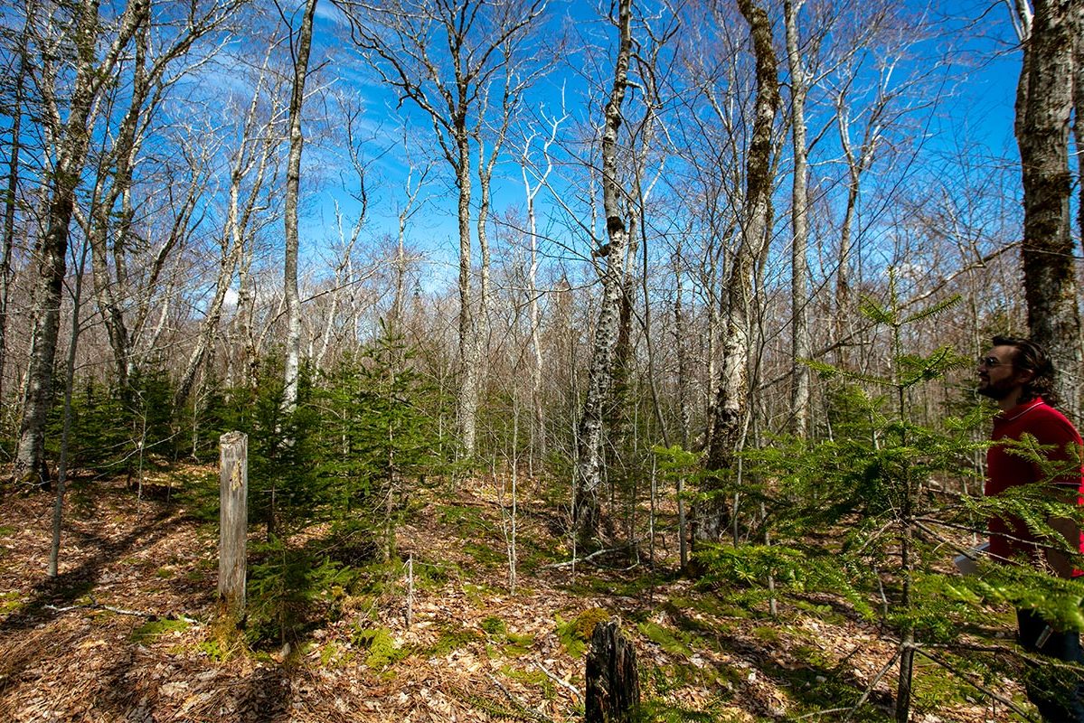 Grundstücke in Kanada -www.immobilien-goldenlake.com