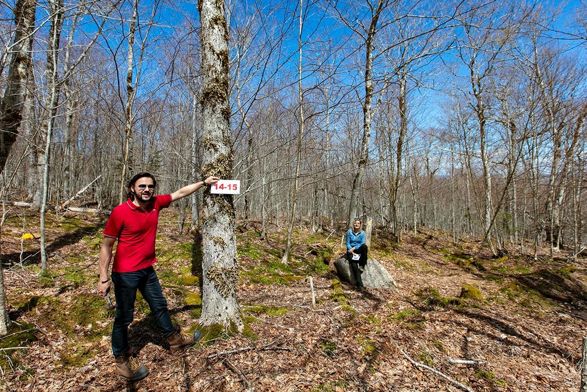 Grundstücke in Kanada -www.immobilien-goldenlake.com