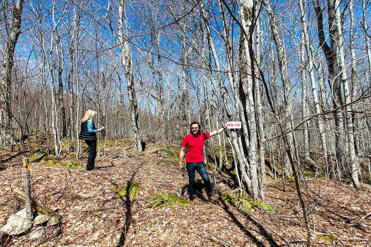 Grundstücke in Kanada -www.immobilien-goldenlake.com