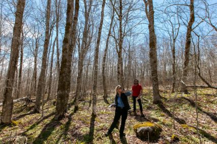 Grundstücke in Kanada -www.immobilien-goldenlake.com