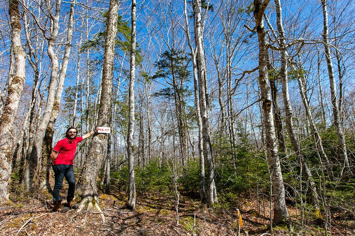 Grundstücke in Kanada -www.immobilien-goldenlake.com