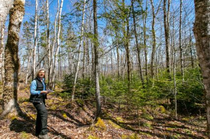 Grundstücke in Kanada -www.immobilien-goldenlake.com