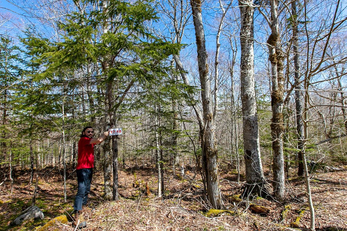 Grundstücke in Kanada -www.immobilien-goldenlake.com