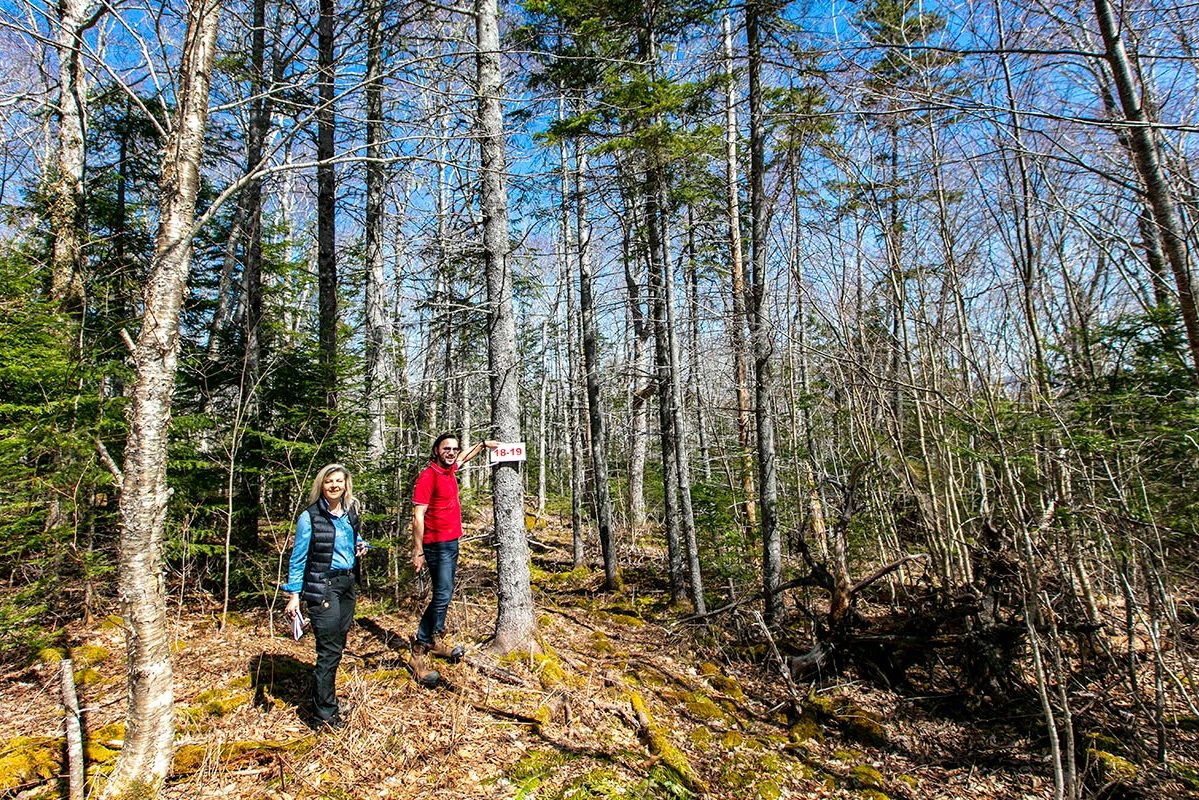 Grundstücke in Kanada -www.immobilien-goldenlake.com