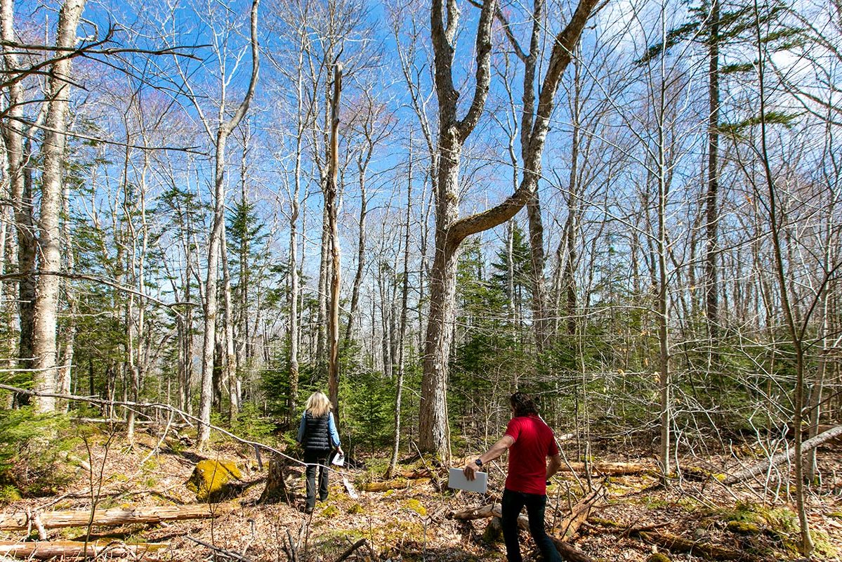 Grundstücke in Kanada -www.immobilien-goldenlake.com