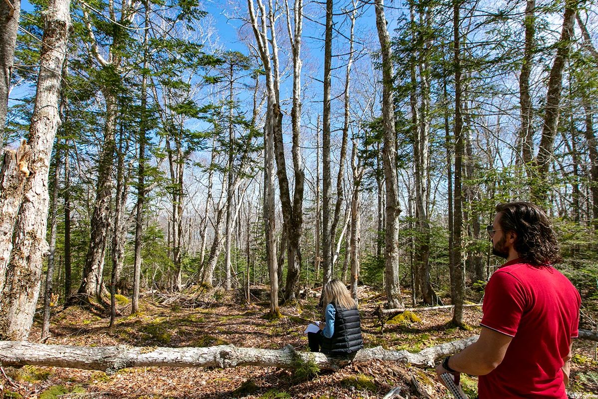 Grundstücke in Kanada -www.immobilien-goldenlake.com