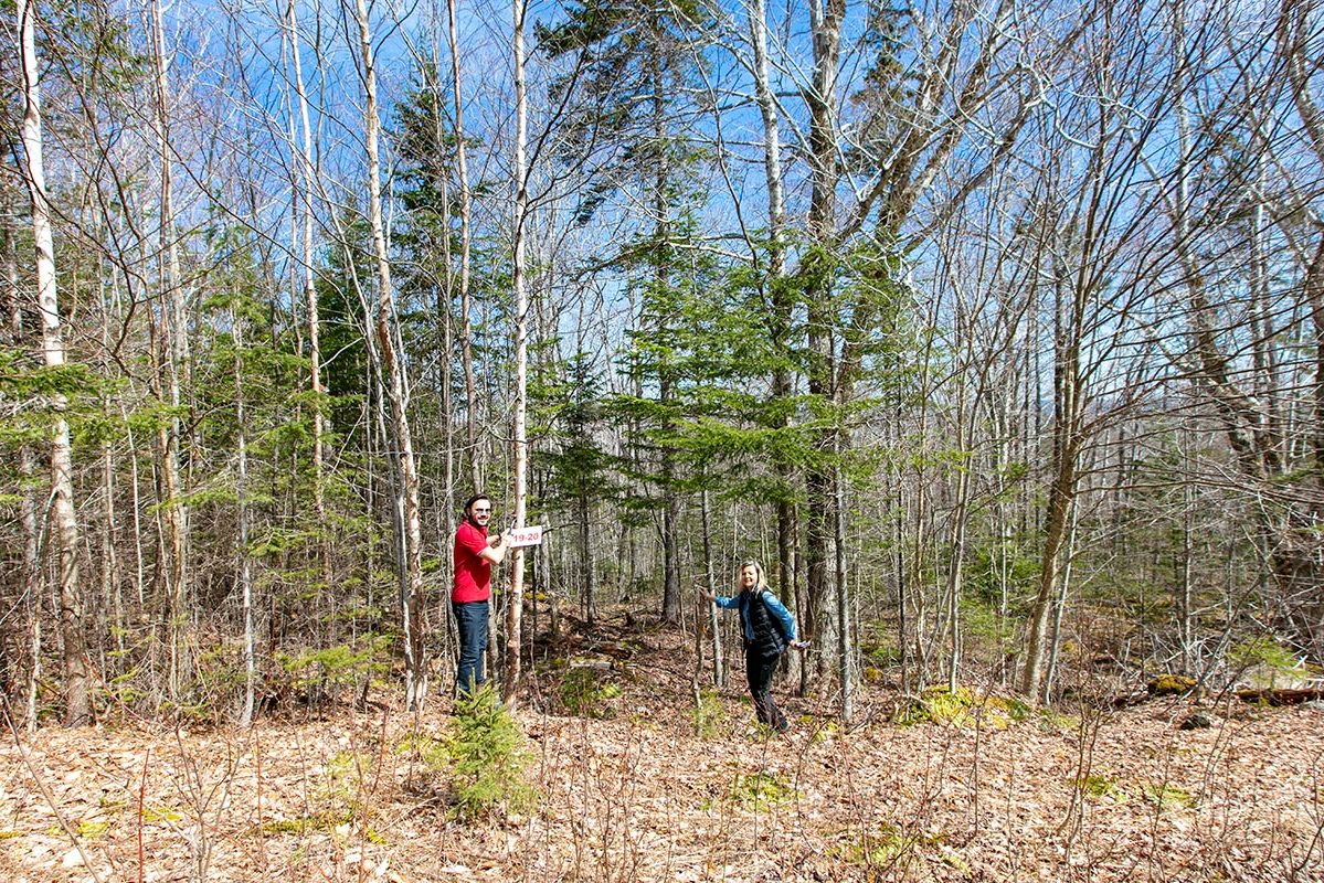 Grundstücke in Kanada -www.immobilien-goldenlake.com