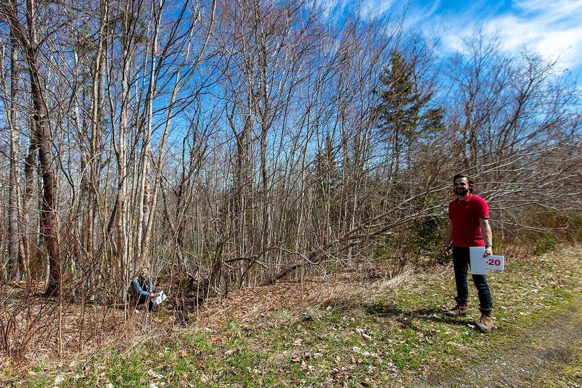 Grundstücke in Kanada -www.immobilien-goldenlake.com