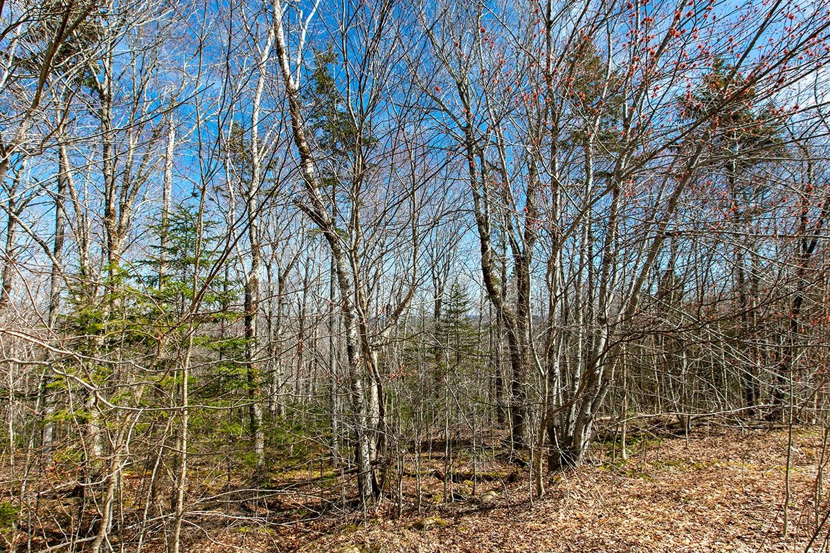 Grundstücke in Kanada -www.immobilien-goldenlake.com