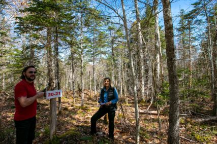 Immobilien Kanada, Landkauf Cape Breton Island, Hausbau Kanada, Grundstücke Nova Scotia