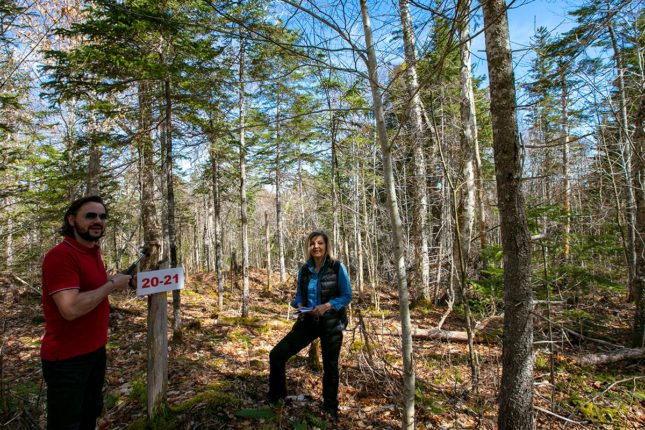 Immobilien Kanada, Landkauf Cape Breton Island, Hausbau Kanada, Grundstücke Nova Scotia