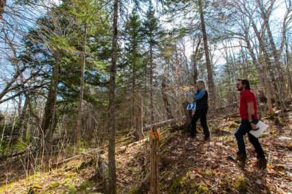 Immobilien Kanada, Landkauf Cape Breton Island, Hausbau Kanada, Grundstücke Nova Scotia