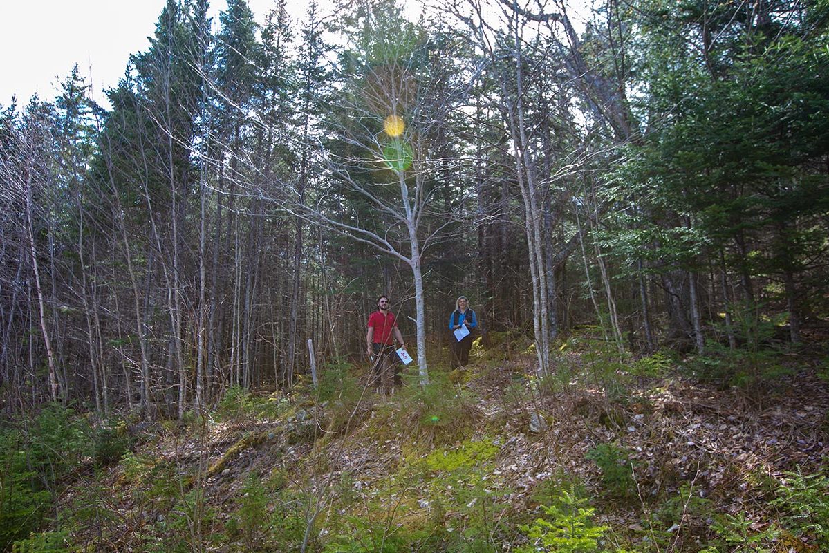 Grundstücke in Kanada -www.immobilien-goldenlake.com