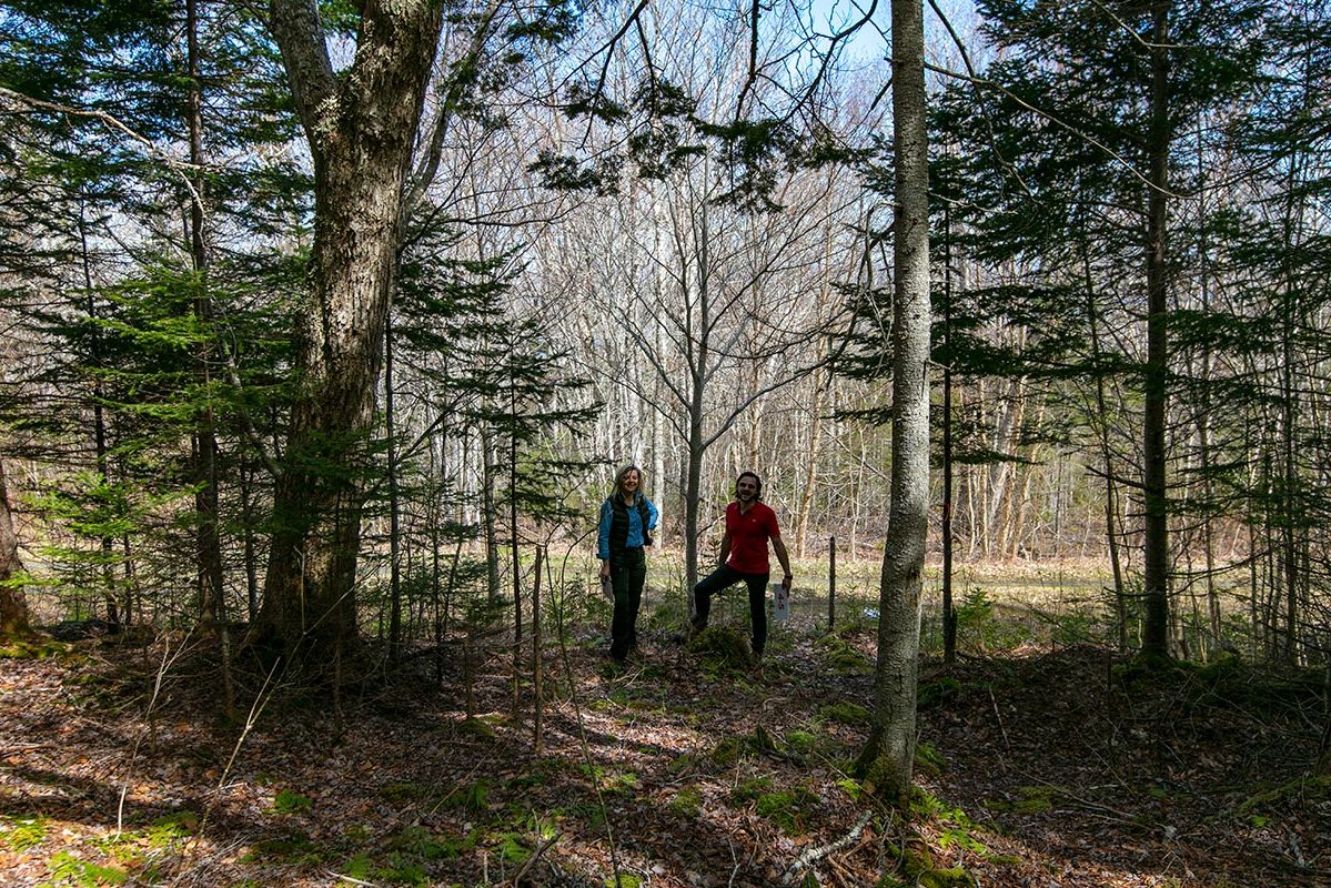 Grundstücke in Kanada -www.immobilien-goldenlake.com