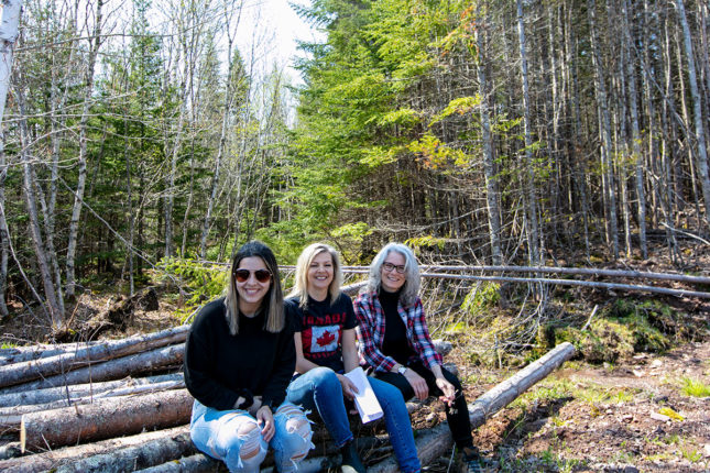 Golden Lake Estates Ltd. - Immobilien in Kanada