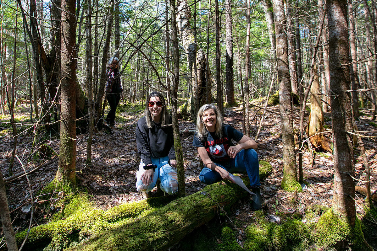 Golden Lake Estates Ltd. - Immobilien in Kanada