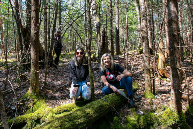 Golden Lake Estates Ltd. - Immobilien in Kanada