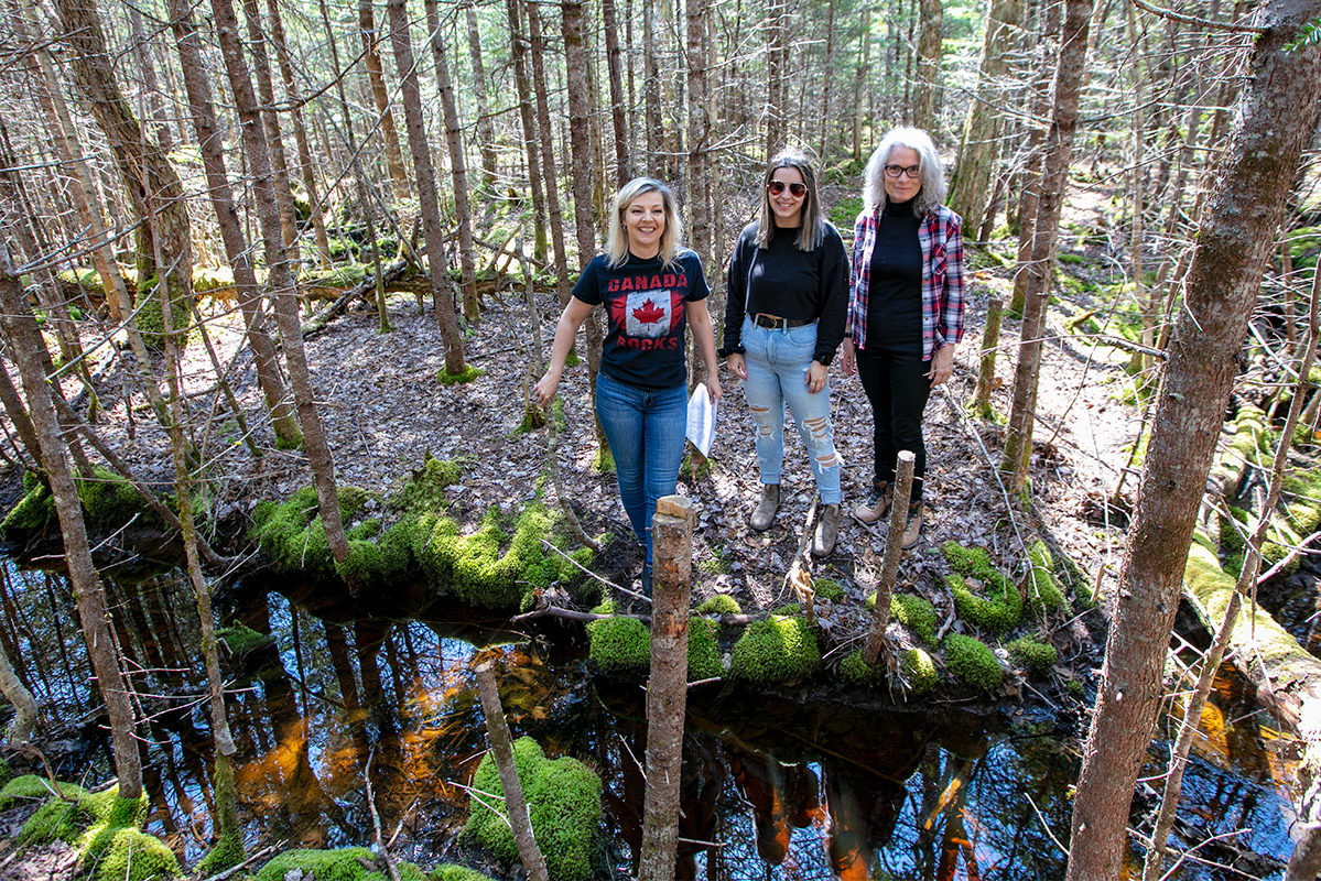 Golden Lake Estates Ltd. - Immobilien in Kanada