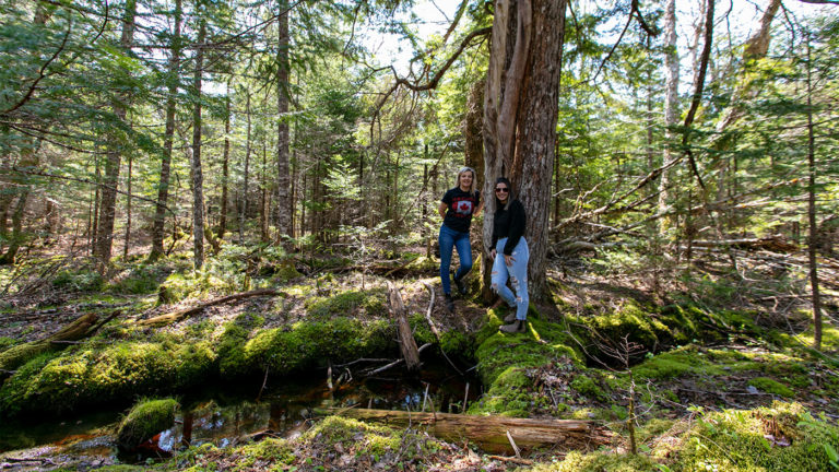 Golden Lake Estates Ltd. - Immobilien in Kanada