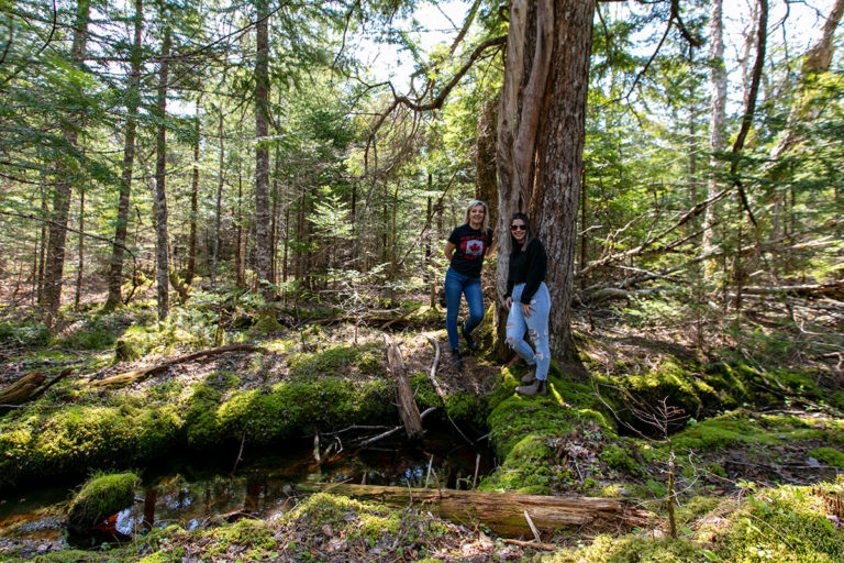 Golden Lake Estates Ltd. - Immobilien in Kanada