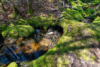 Golden Lake Estates Ltd. - Immobilien in Kanada