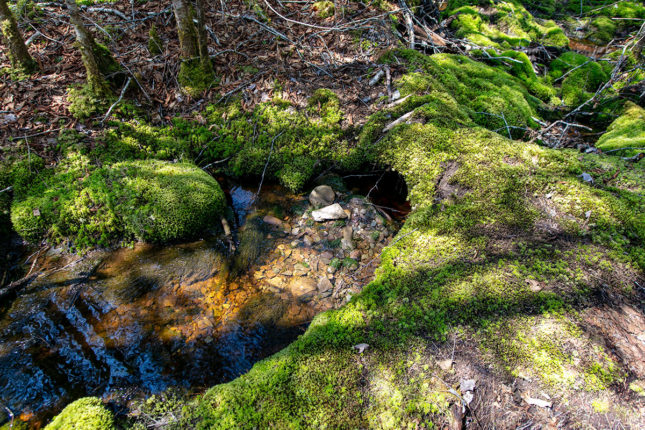 Golden Lake Estates Ltd. - Immobilien in Kanada