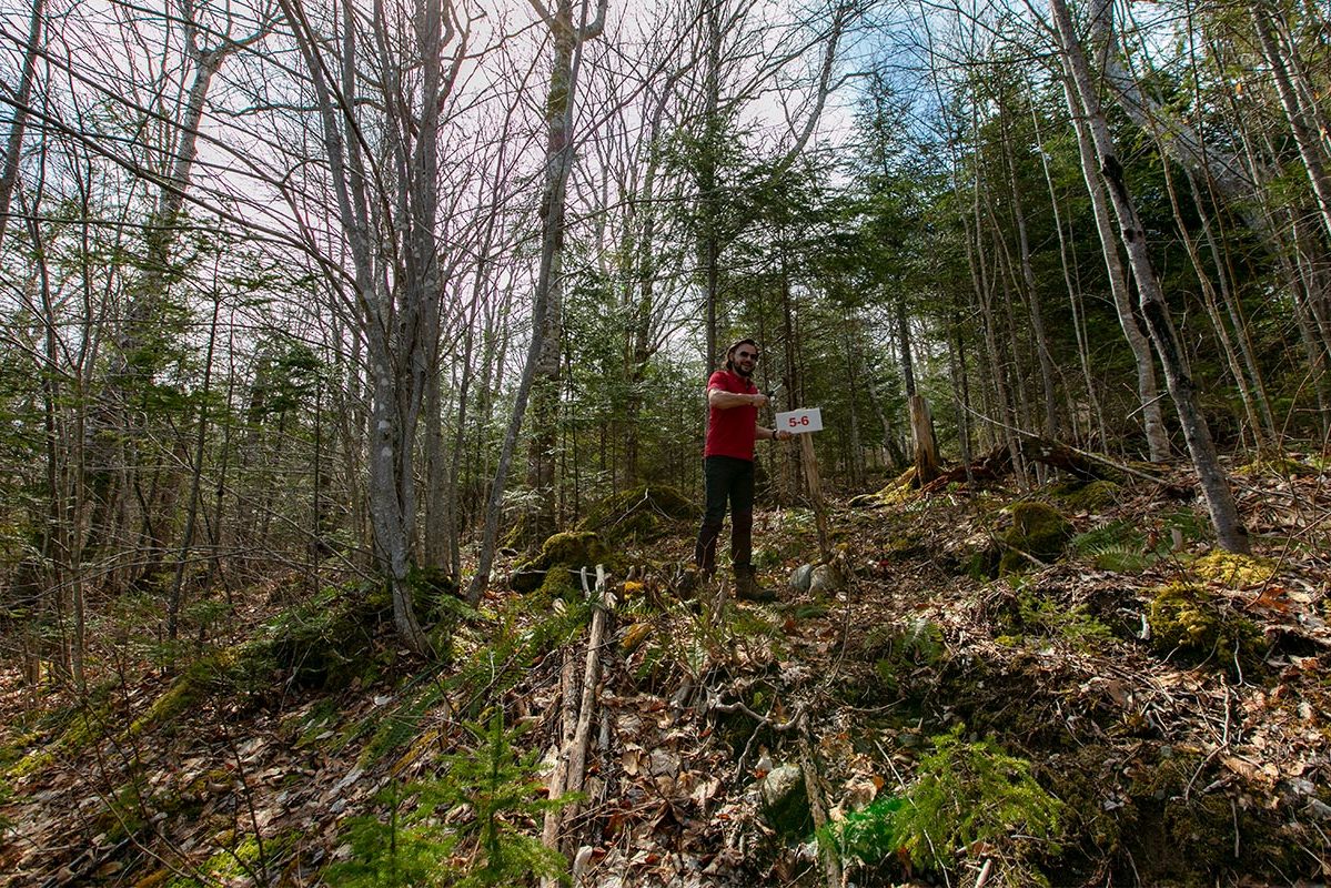 Grundstücke in Kanada -www.immobilien-goldenlake.com