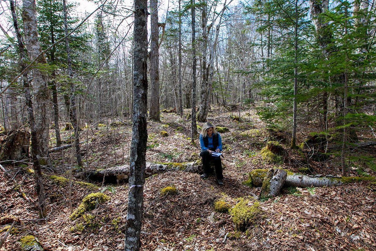 Grundstücke in Kanada -www.immobilien-goldenlake.com