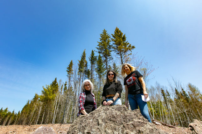 Golden Lake Estates Ltd. - Immobilien in Kanada