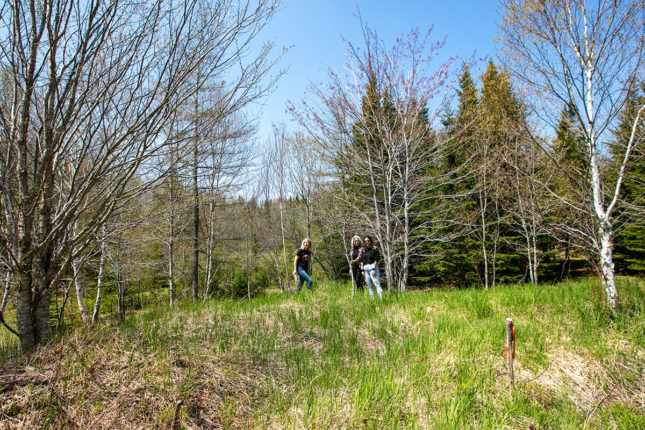 Golden Lake Estates Ltd. - Immobilien in Kanada