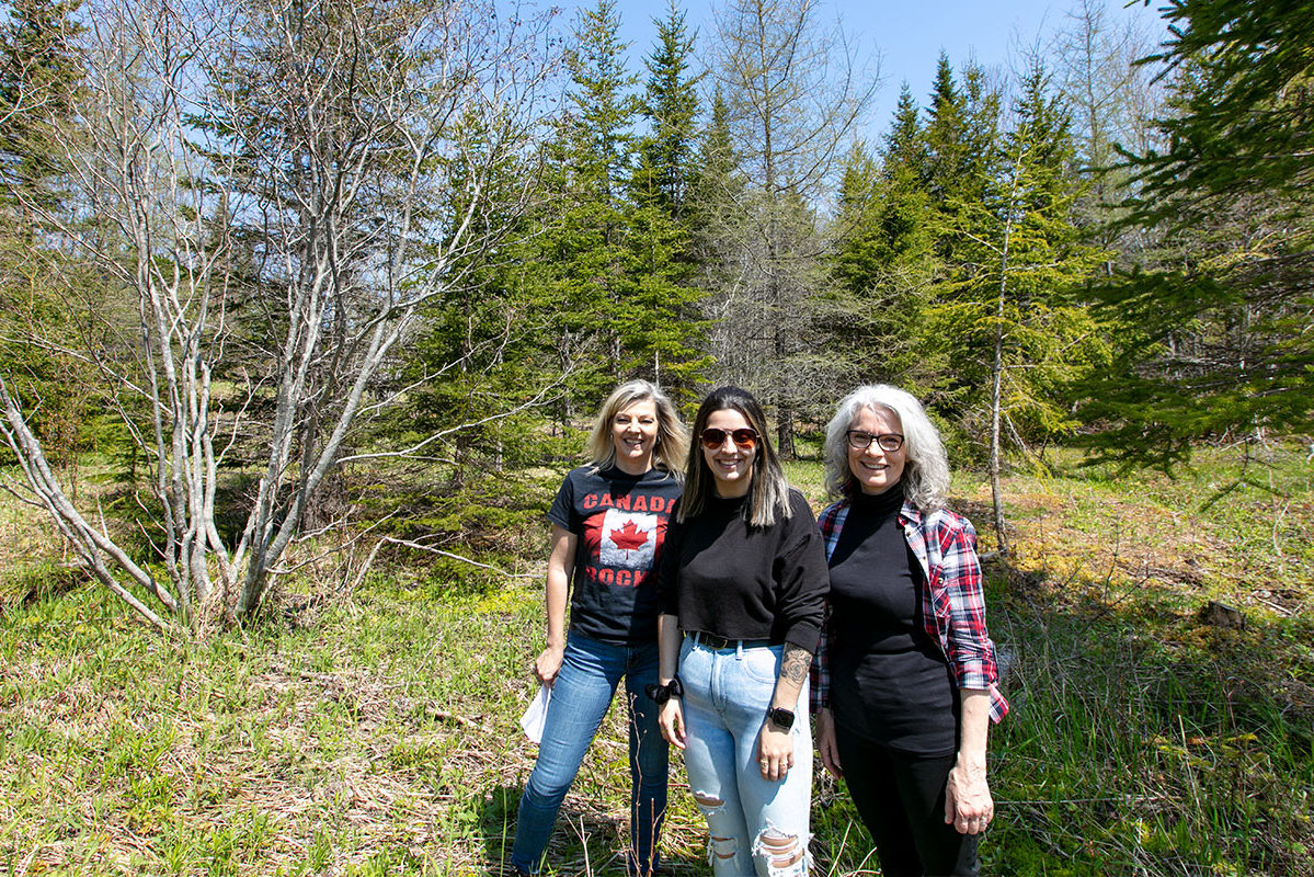 Golden Lake Estates Ltd. - Immobilien in Kanada