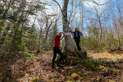 Grundstücke in Kanada -www.immobilien-goldenlake.com