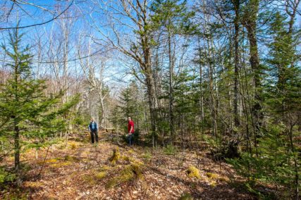 Grundstücke in Kanada -www.immobilien-goldenlake.com