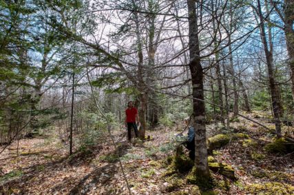 Grundstücke in Kanada -www.immobilien-goldenlake.com