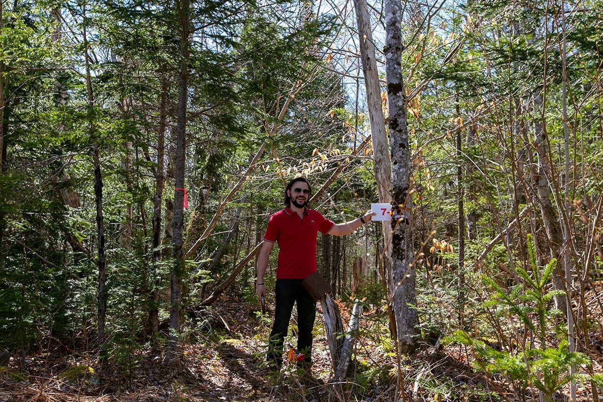 Grundstücke in Kanada -www.immobilien-goldenlake.com