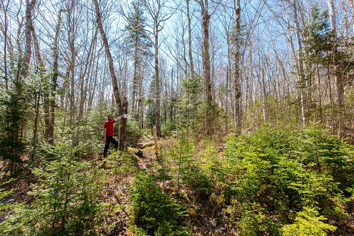 Grundstücke in Kanada -www.immobilien-goldenlake.com