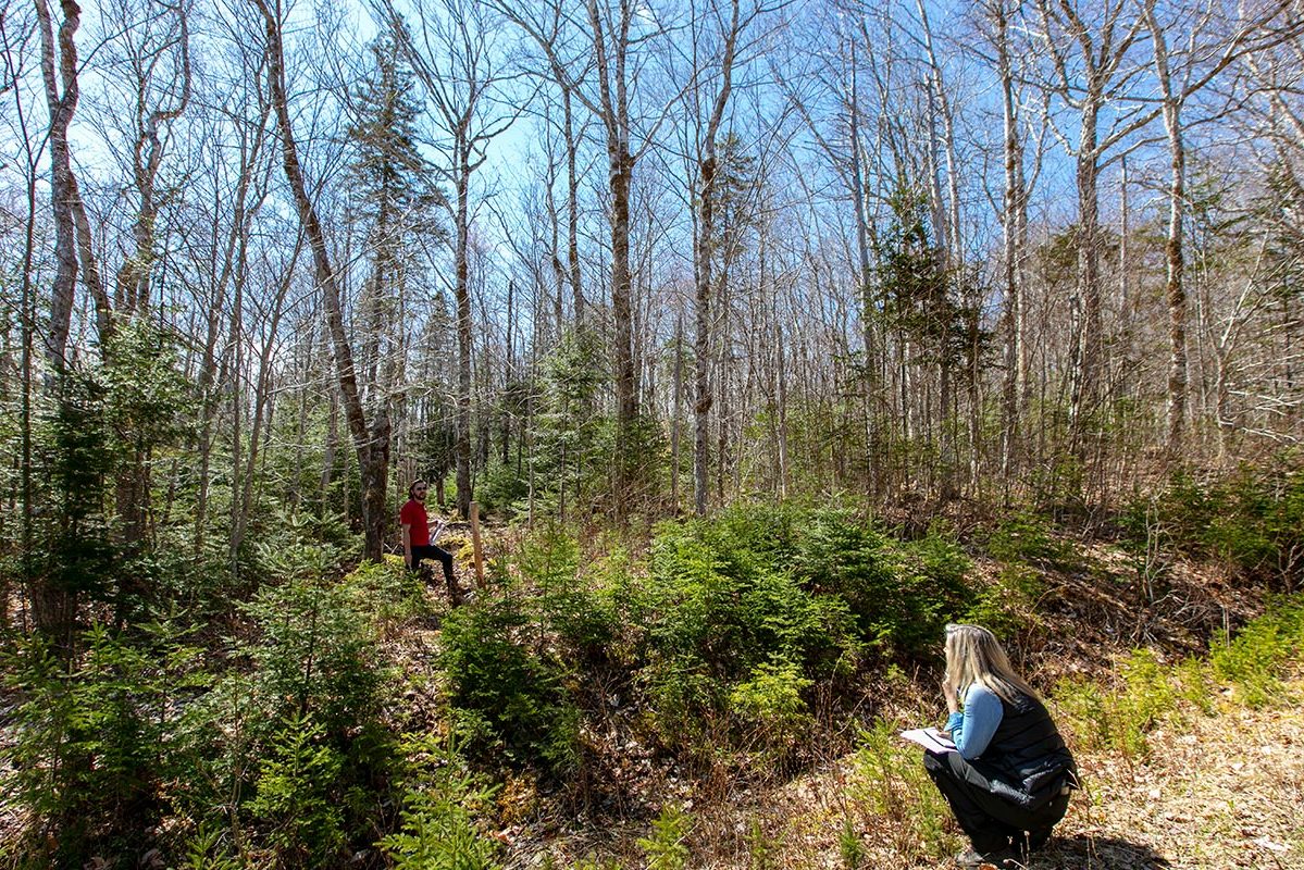 Grundstücke in Kanada -www.immobilien-goldenlake.com