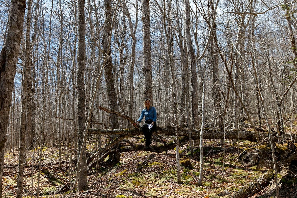 Grundstücke in Kanada -www.immobilien-goldenlake.com