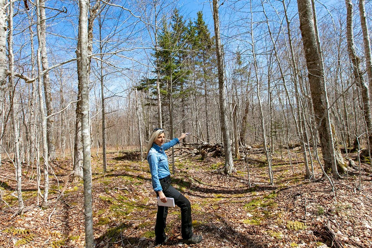 Grundstücke in Kanada -www.immobilien-goldenlake.com