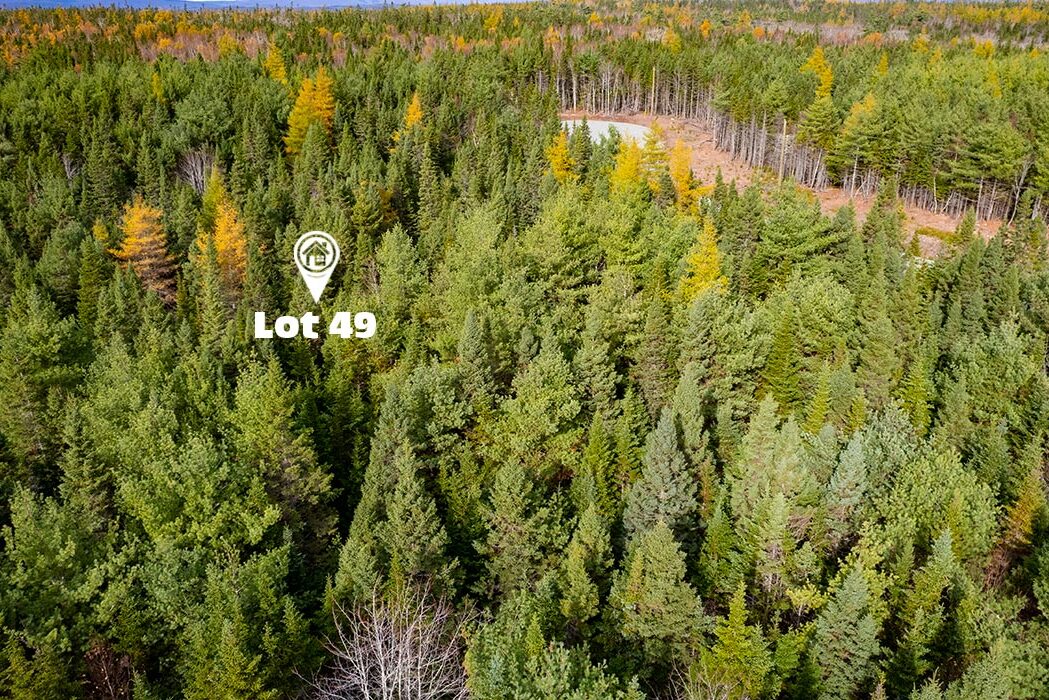 Beaver Lodge Estates Phase III - Lot 49