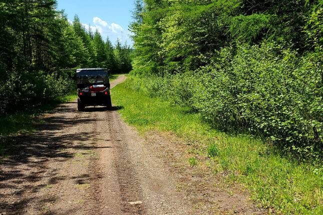 Abenteuer Kanada - Golden Lake Estates Ltd.