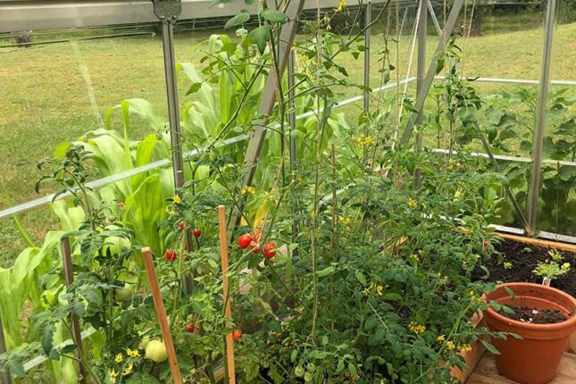 Golden Lake Estates Ltd. - Immobilien in Kanada