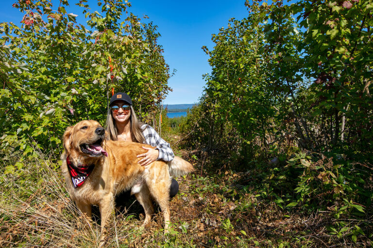 Unsere neuste Erschliessung West Bay Hills -Golden Lake Estates