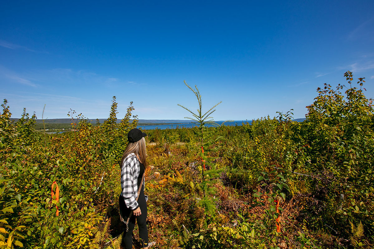 West Bay Hills - Grundstücke in Kanada, Cape Breton Island