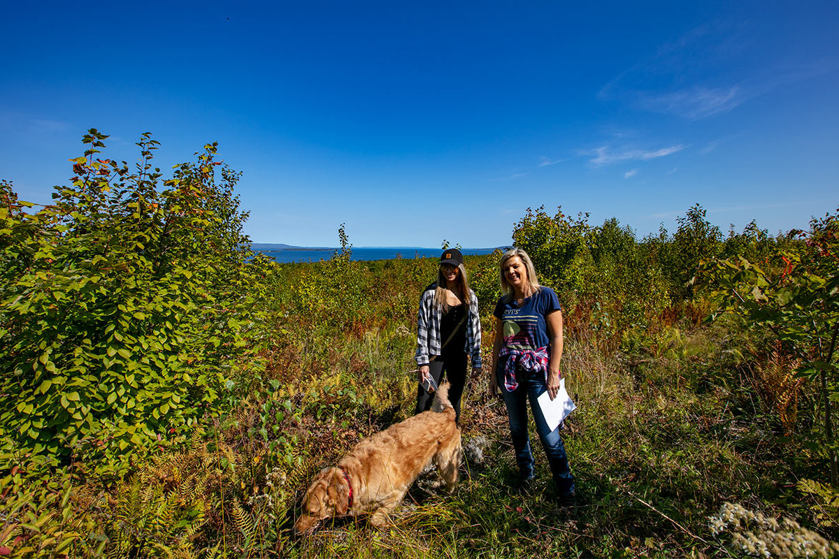 West Bay Hills - Grundstücke in Kanada, Cape Breton Island