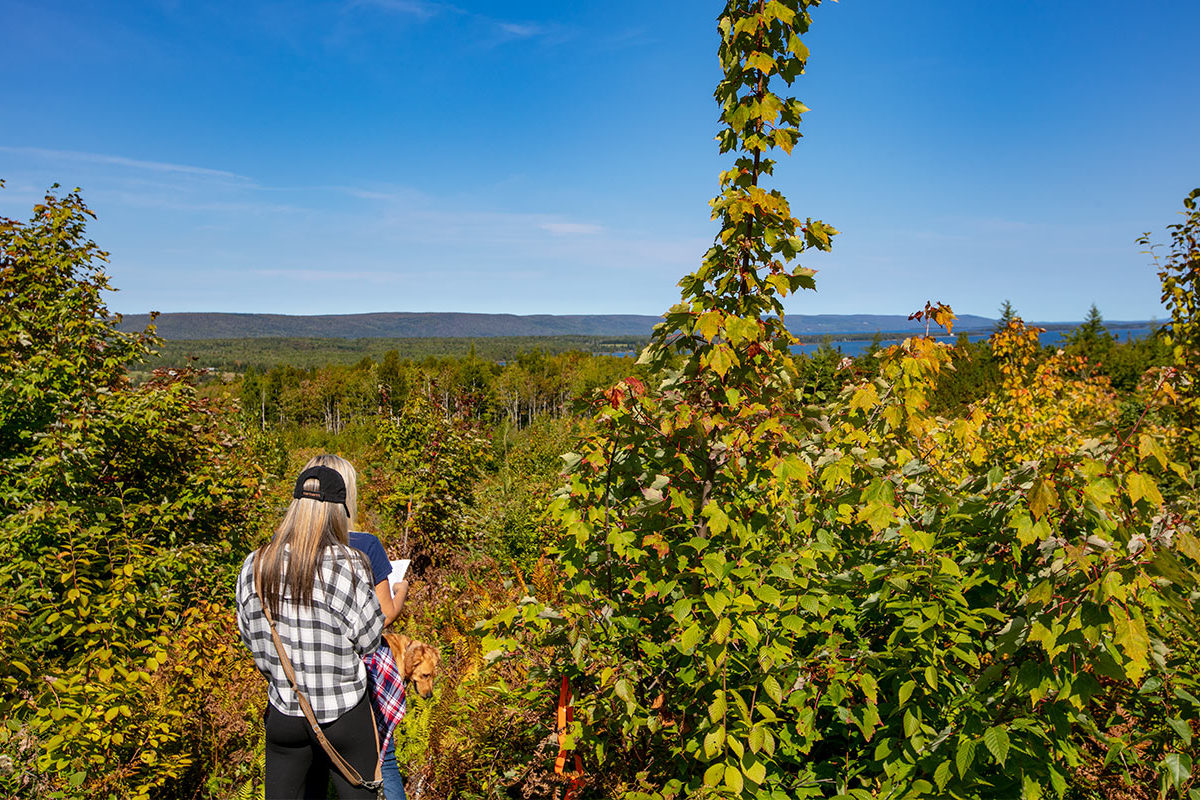 West Bay Hills - Grundstücke in Kanada, Cape Breton Island